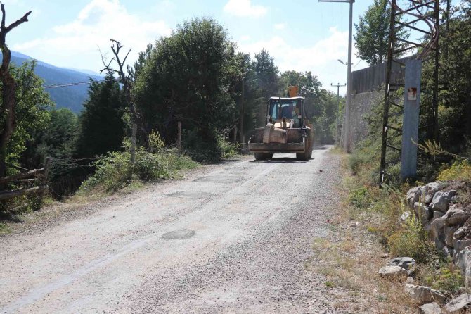 250 Yıllık Sütunlar Kayıptı, Ünlü Ailenin Villasında Bulundu