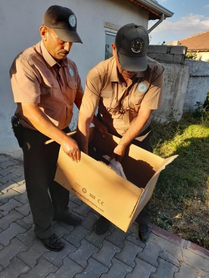 Yaralı Leyleğe Yardım Eli