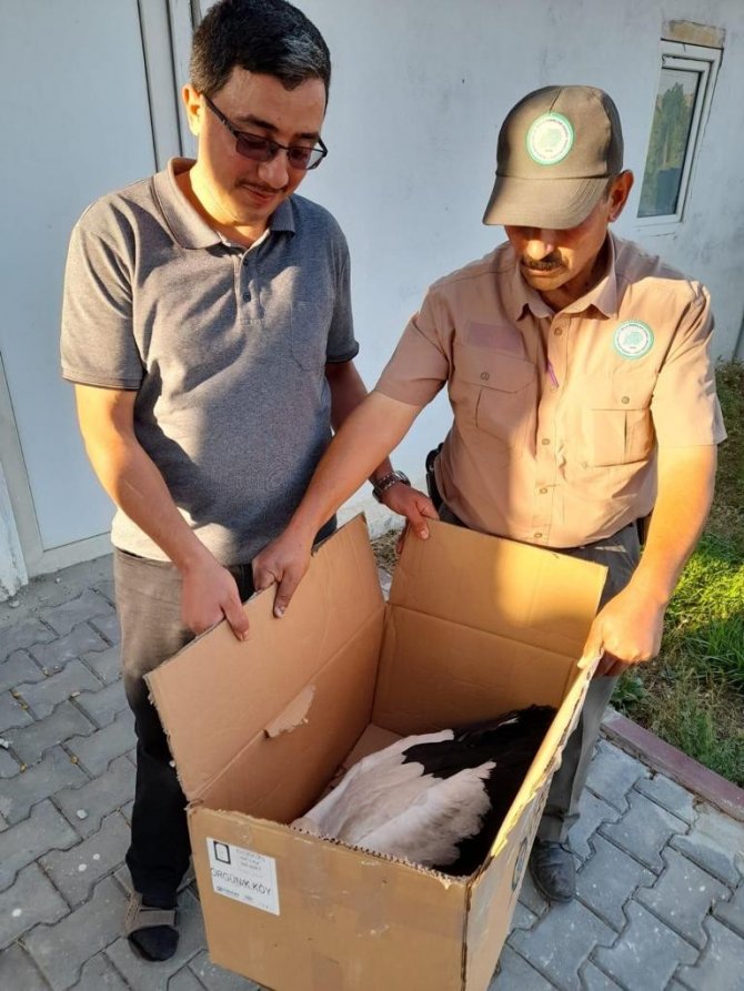 Yaralı Leyleğe Yardım Eli