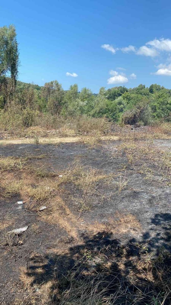 Çöplükte Çıkan Yangın, Fındık Bahçesine Sıçradı