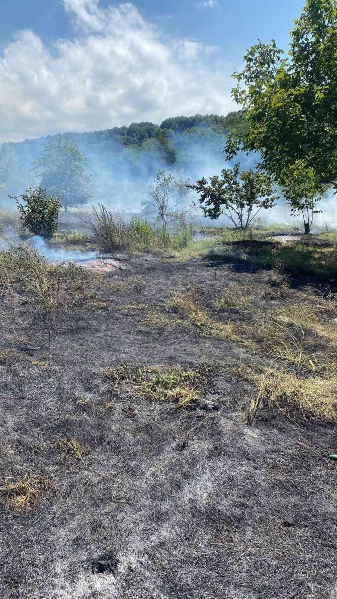 Çöplükte Çıkan Yangın, Fındık Bahçesine Sıçradı