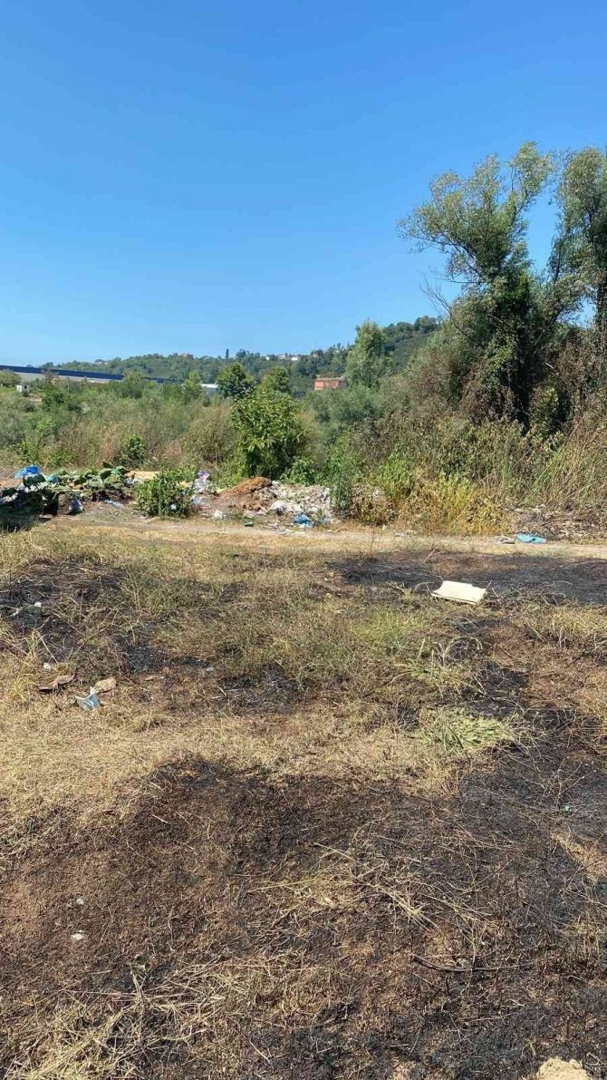 Çöplükte Çıkan Yangın, Fındık Bahçesine Sıçradı