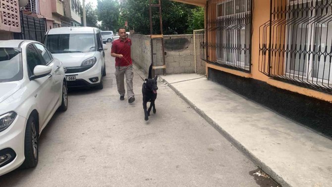 Adana’da Uyuşturucu Operasyonu