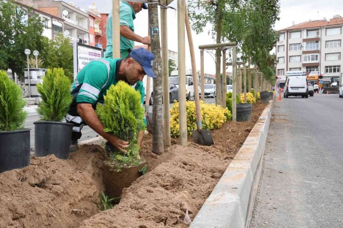 Aksaray’da Park Ve Yeşil Alanlarda Şehre Uyum Sağlayabilen Ağaç Türleri Dikiliyor