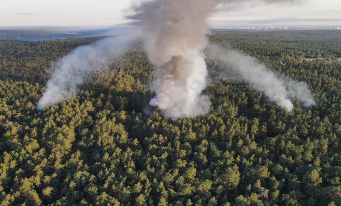 Berlin’deki Grunewald Ormanında Patlama Sonrası Yangın