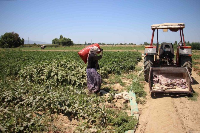 10 Kilometrelik Mesafede Fiyatı İki Katına Çıkıyor