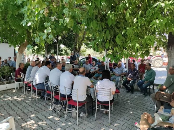 İ̇ncir Üreticilerine Kurutma Kerevitleri Dağıtıldı