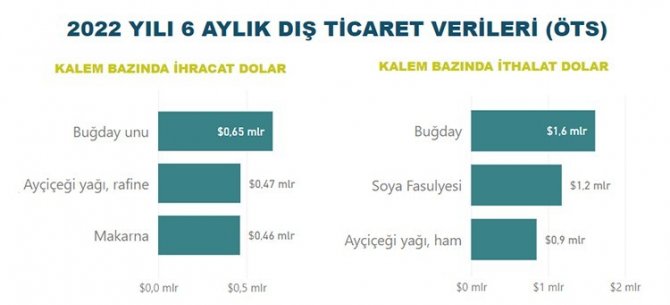 2022 Yılının İlk Yarısında Tarım, Gıda Ve İçecek Sektörü 12,2 Milyar Dolar İhracat Gerçekleştirdi