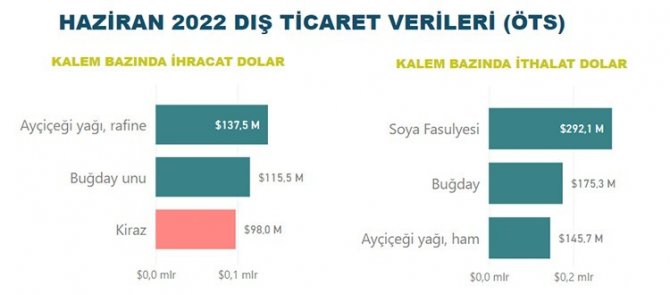 2022 Yılının İlk Yarısında Tarım, Gıda Ve İçecek Sektörü 12,2 Milyar Dolar İhracat Gerçekleştirdi
