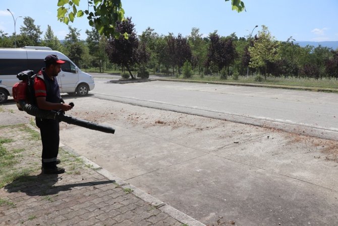 Temiz Şehir Düzce Hareketi Karşılığını Buluyor