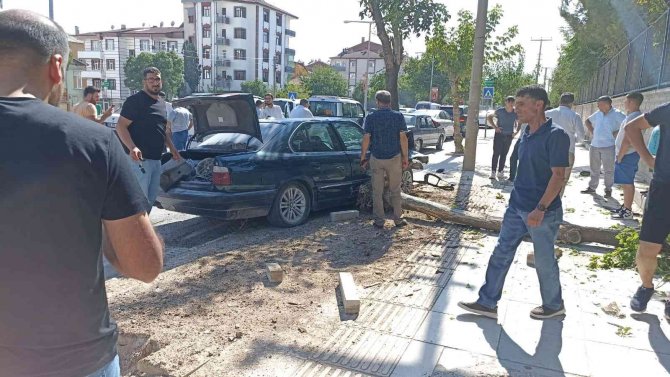 Elazığ’da Otomobil Ağaca Çarptı: 1 Yaralı