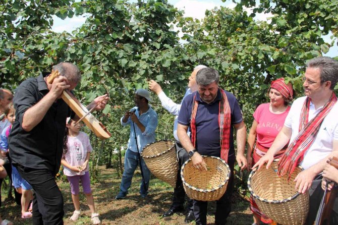 Giresun’da Fındık Hasat Şenliği Düzenlendi