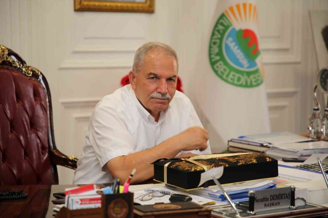 İ̇lkadım’daki Sahipsiz Köpek Sorununa Çözüm Arayışı