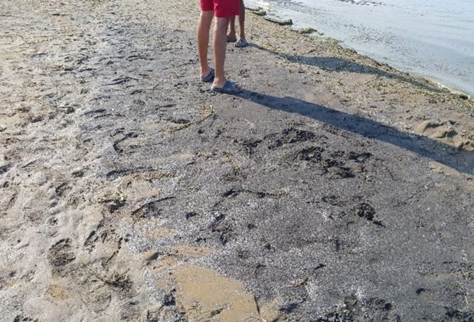 Eğirdir Altınkum Plajı’nda Kirliliğe Rastlanmadı