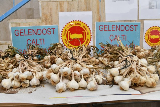 Çaltı Sarımsağına Coğrafi İşaret