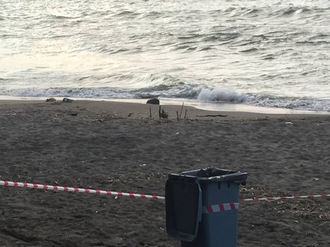 Rus Yapımı Mayın Tetikleyicisi Ordu Sahiline Vurdu