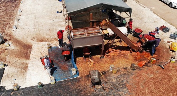 Şanlıurfa’da İsotun Acı Serüveni Başladı