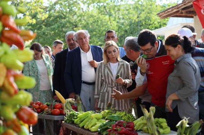 Muğla’da Lavanta Ve Biber Hasadı Coşkusu
