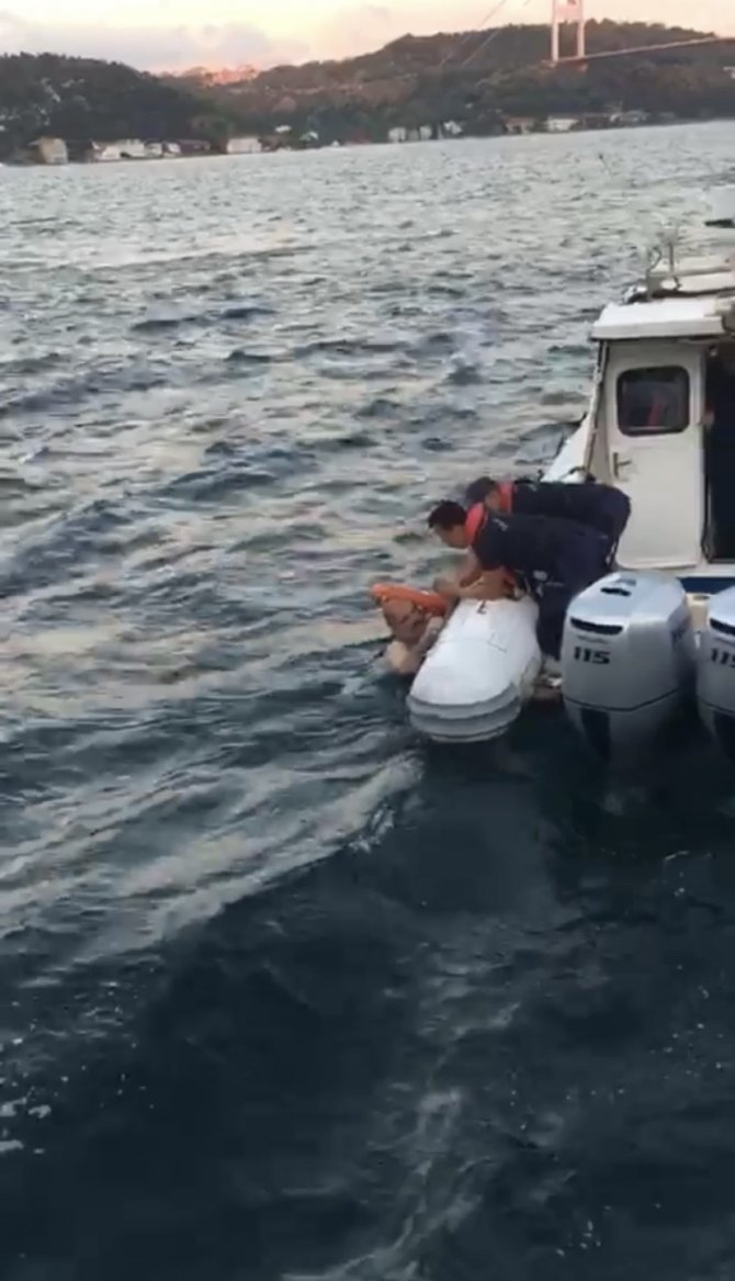 İ̇stanbul Boğazı’nda Ölüm Kalım Mücadelesi Kamerada