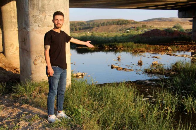 Toplu Balık Ölümleri Görenleri Tedirgin Ediyor