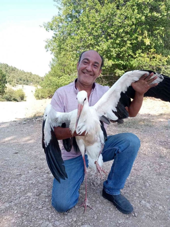 Yol Kenarında Yaralı Leylek Bulundu