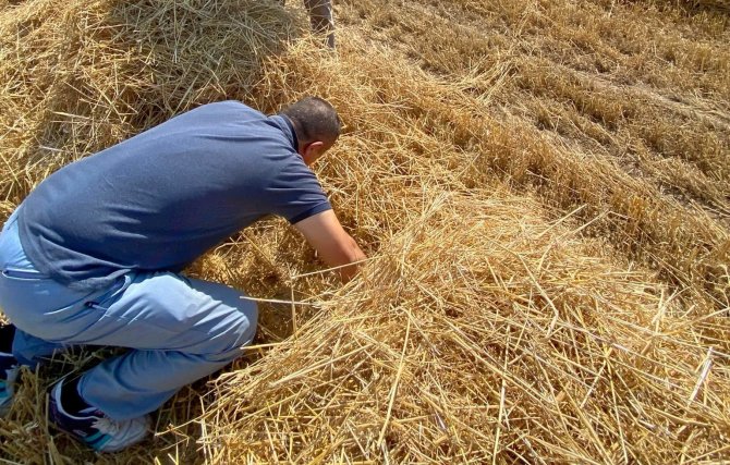 Aslanapa’da Biçerdöver Kontrolleri
