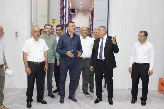 Tüfenkci’den Kayısı Üretimi Vurgusu