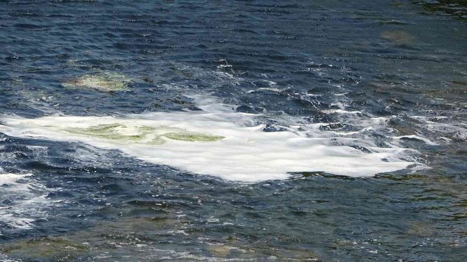 Hasada Sayılı Günler Kala Binlerce Dönüm Domates Kurudu