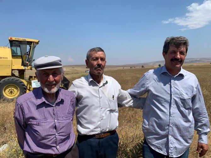 Anadolu’nun 500 Yıllık Bitkisi Pelemir İçin Hasat Zamanı