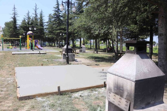 Melen Su Park’ta Kamelya Sayısı Artıyor