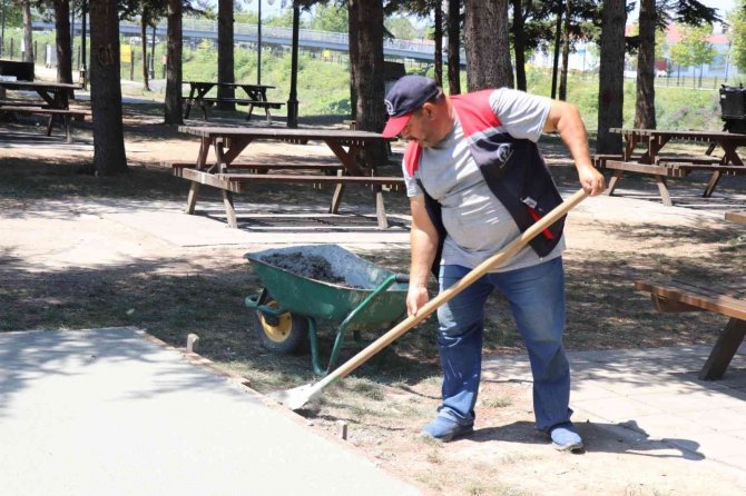 Melen Su Park’ta Kamelya Sayısı Artıyor
