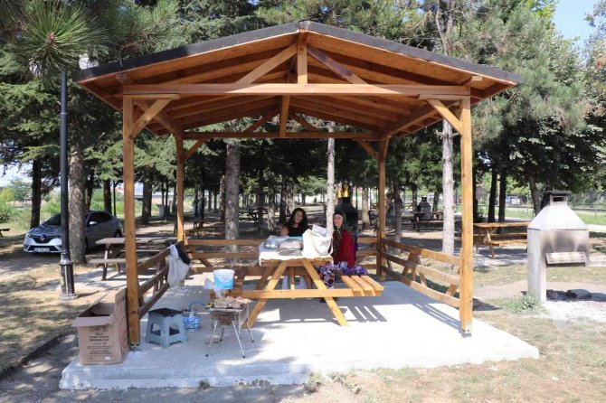 Melen Su Park’ta Kamelya Sayısı Artıyor