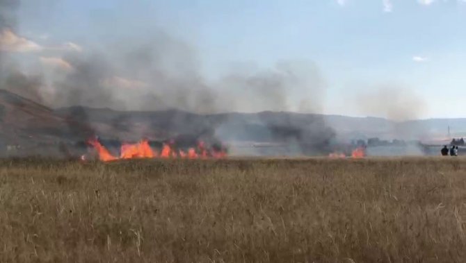 Çocukların Oyunu Buğday Tarlasını Yaktı, 20 Dönüm Küle Döndü