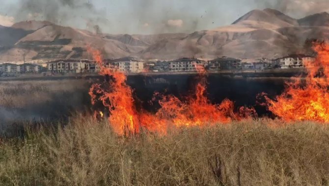 Çocukların Oyunu Buğday Tarlasını Yaktı, 20 Dönüm Küle Döndü