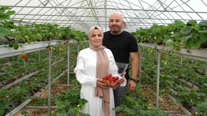 Hobi Olarak Başladıkları Topraksız Tarım Meslek Sahibi Yaptı