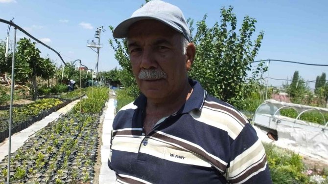 Balıkesir’de İşçi Emeklisi Vatandaş Kendini Yeşile Adadı