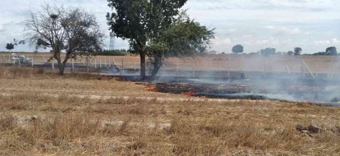 Tekirdağ’da Boş Arazide Çıkan Yangın Güçlükle Söndürüldü
