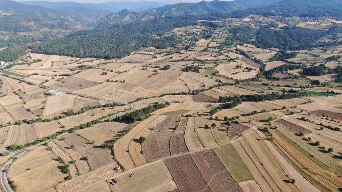 Devlet Hibe Etti, Çiftçinin Siyez Üretim Maliyeti Düştü