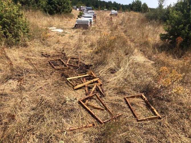 Emet’te Ayılar 13 Arı Kovanını Parçaladı
