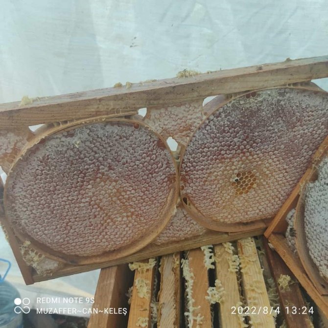 Darende’de Bal Sağım Ve Süzme Mesaisi