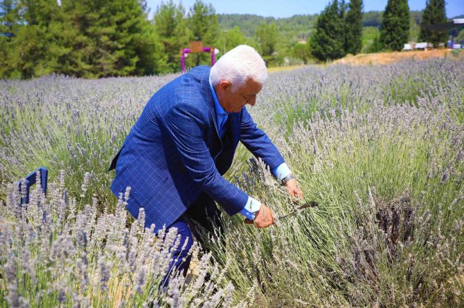 Büyükşehir Hem Üretiyor, Hem İşliyor