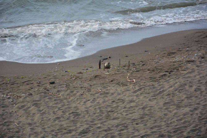 Ordu Sahilinde Rus Yapımı