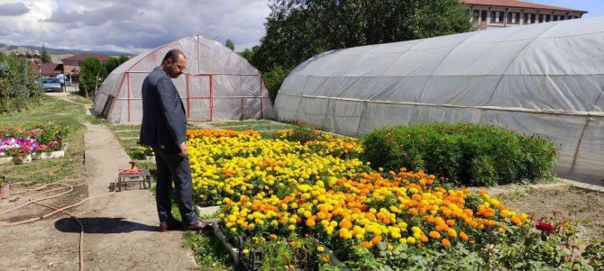 Belediyenin Yetiştirdiği Süs Bitkileri İlçeye Çiçek Bahçesine Dönüştürdü