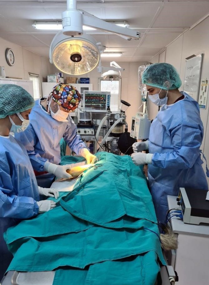 Osmangazi, Binlerce Hayvana Şifa Oldu