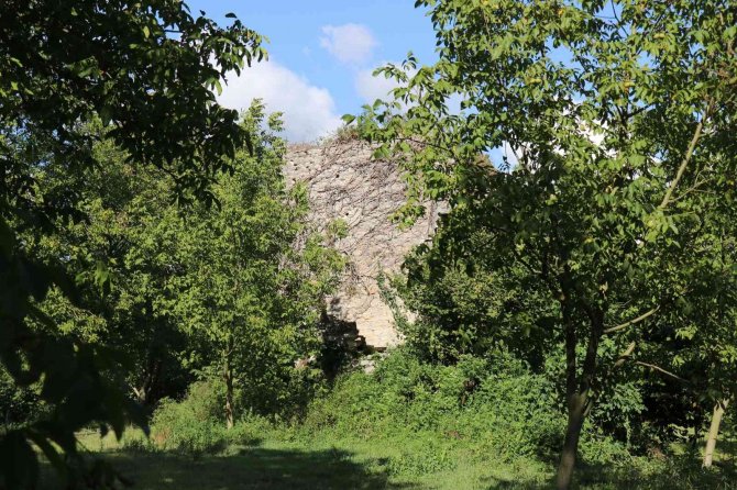 Sarmaşıkların Arasında Saklı Kalmış 800 Yıllık Tarih