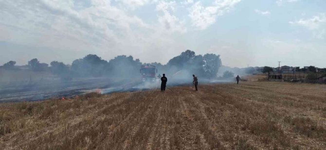 Tekirdağ’da Boş Arazide Çıkan Yangın Güçlükle Söndürüldü