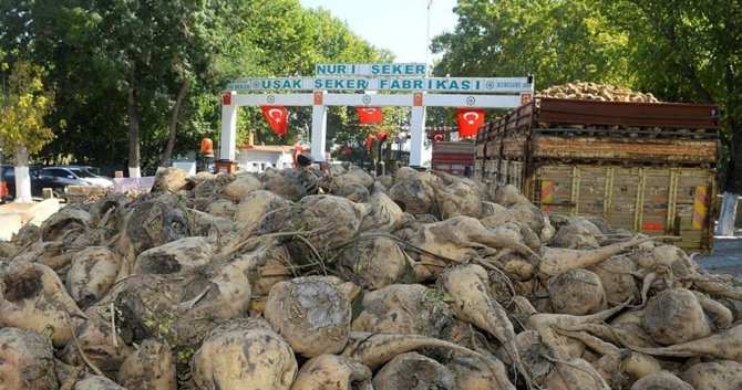 Uşak’ta Lokantacı, Pastacı Ve Tatlıcı Esnafında Şeker Tedarik Sıkıntısı