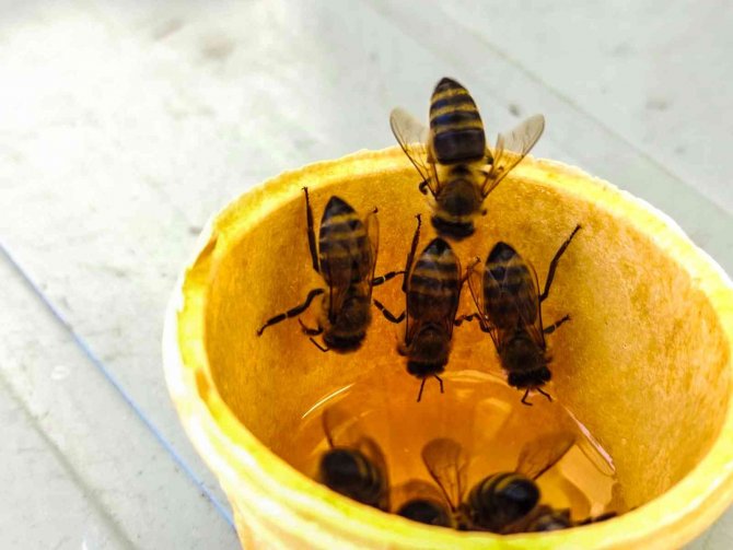 19. Ardahan Ulusal Kültür Ve Bal Festivaline Yoğun İlgi