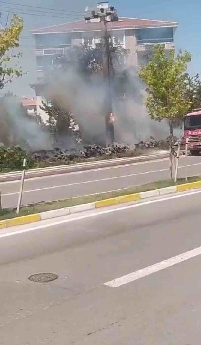 Elektrik Direğindeki Kablolar Havai Fişek Gibi Patladı