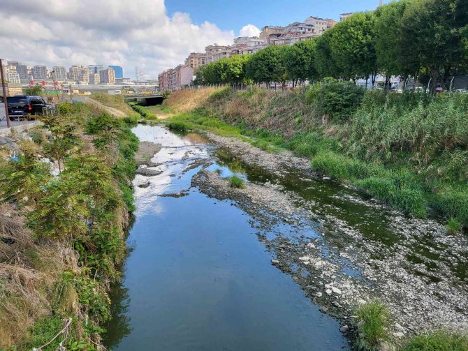 Alibeyköy Deresinde Balık Ölümleri